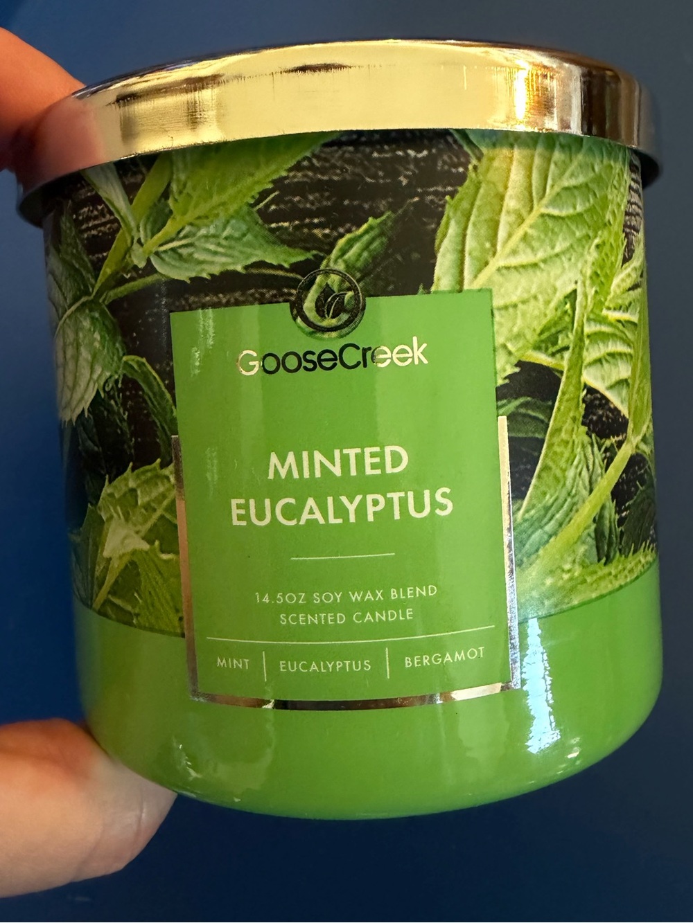 Goose Creek Minted Eucalyptus Scented Candle - Green